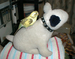 ���[�����Ƃ悵���������