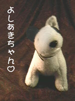 �悵���������1