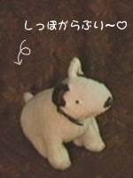 �悵���������2