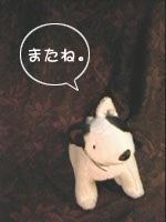 �悵���������4