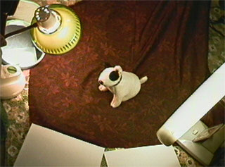 �悵���������5