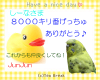 JunJun8000hitץ